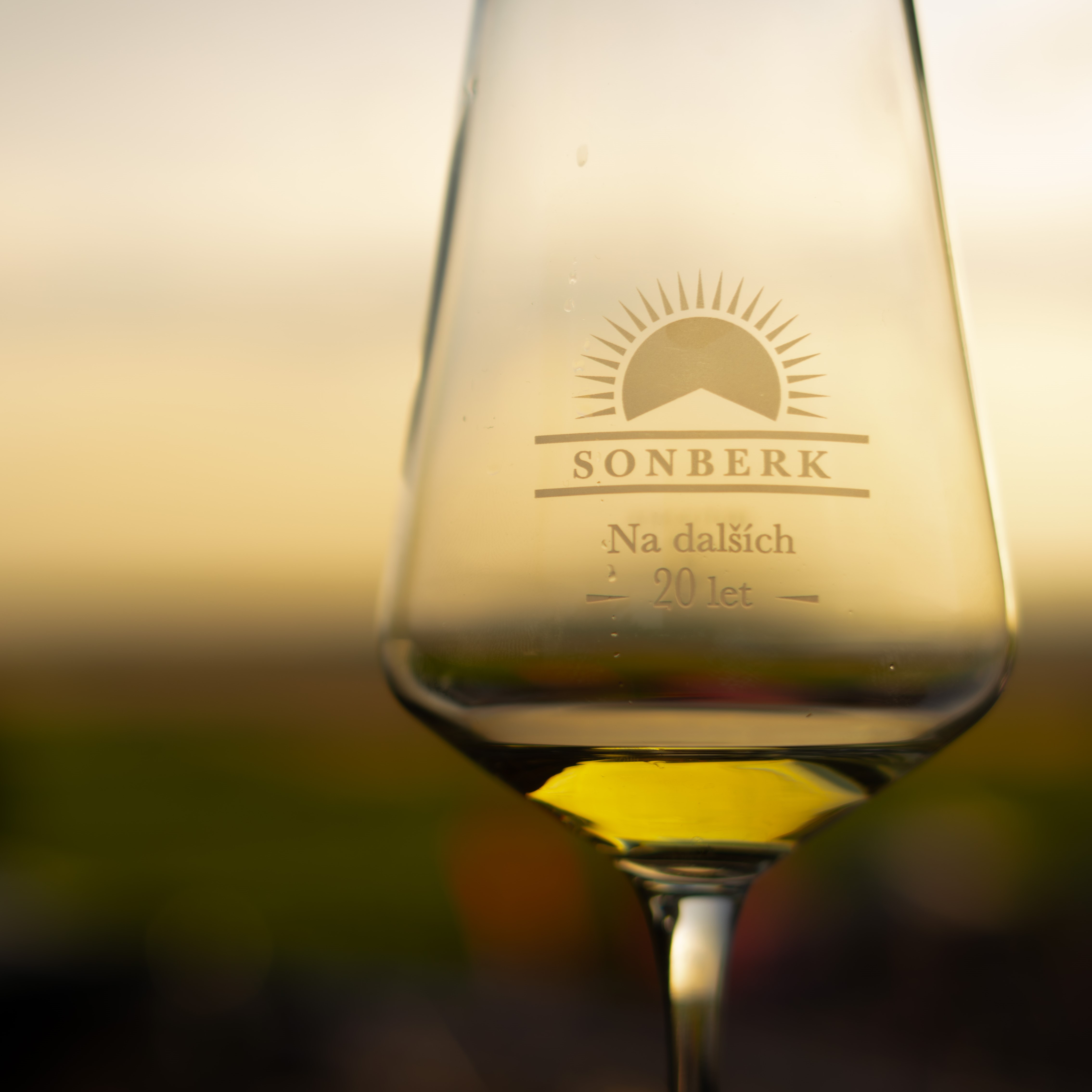 Degustace s prohlídkou vinařství dne 5. 4. 2025 ve 14:00